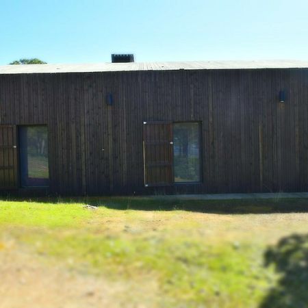 Гостевой дом Casas Rurales Cijara Элечоса Экстерьер фото